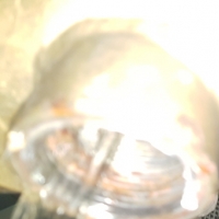 롤세관